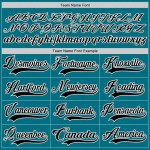 Custom Teal Black-White Hockey Lace Neck Jersey